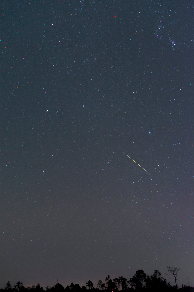 Illustration for article titled An Idiot's Guide To Star Trails